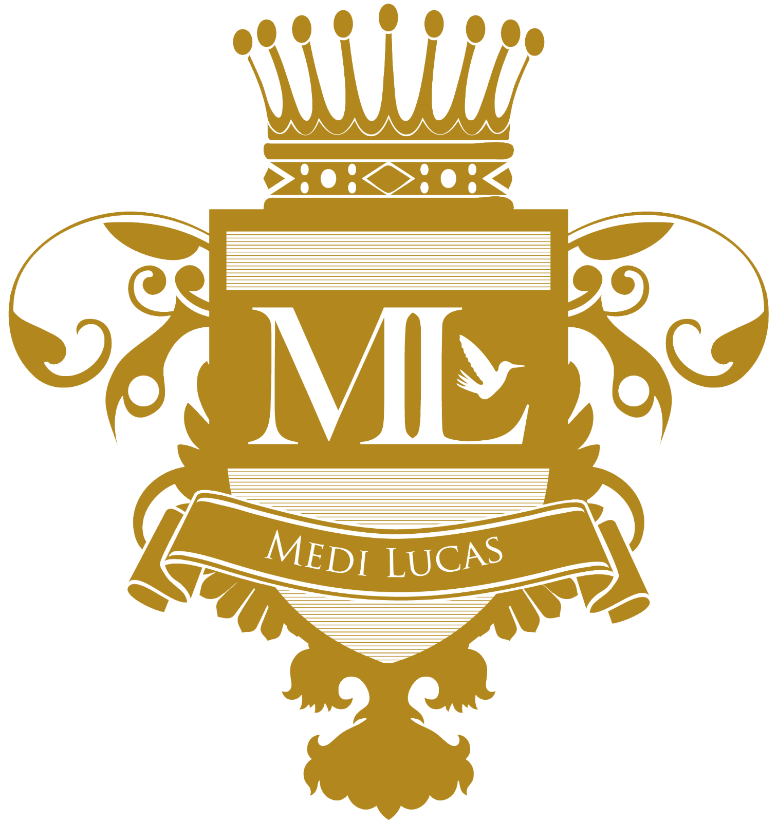 MEDI LUCAS LLC